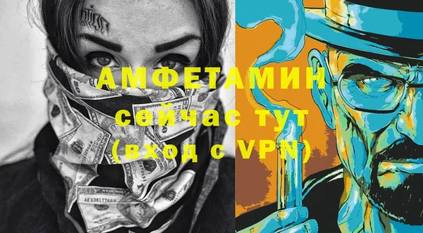 шишки Болотное