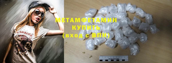 крисы Новозыбков