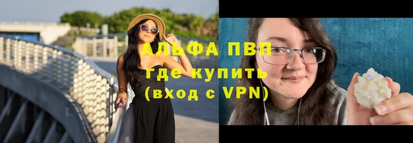 крисы Новозыбков