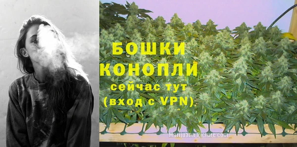 крисы Новозыбков