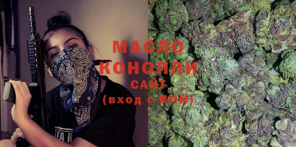 крисы Новозыбков