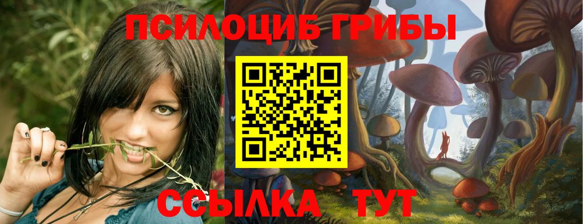 Псилоцибиновые грибы прущие грибы  Галлюциногенные грибы ЛСД  Калач-на-Дону  Вход с VPN 